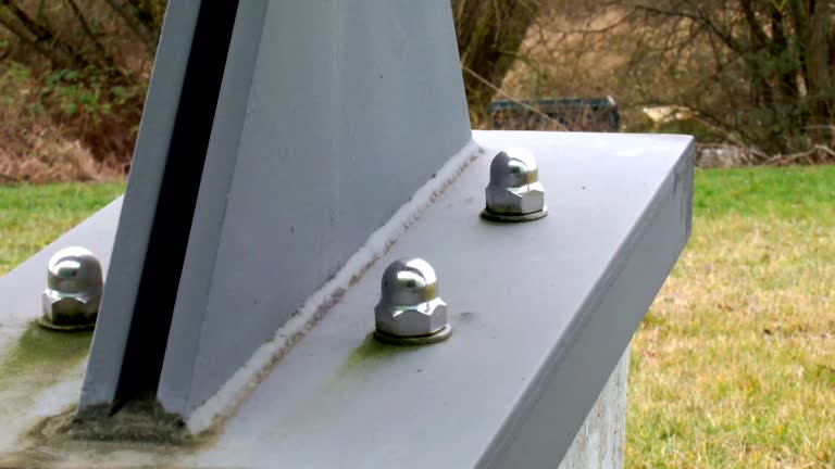 Trusted Watertown, FL Mold Removal Experts